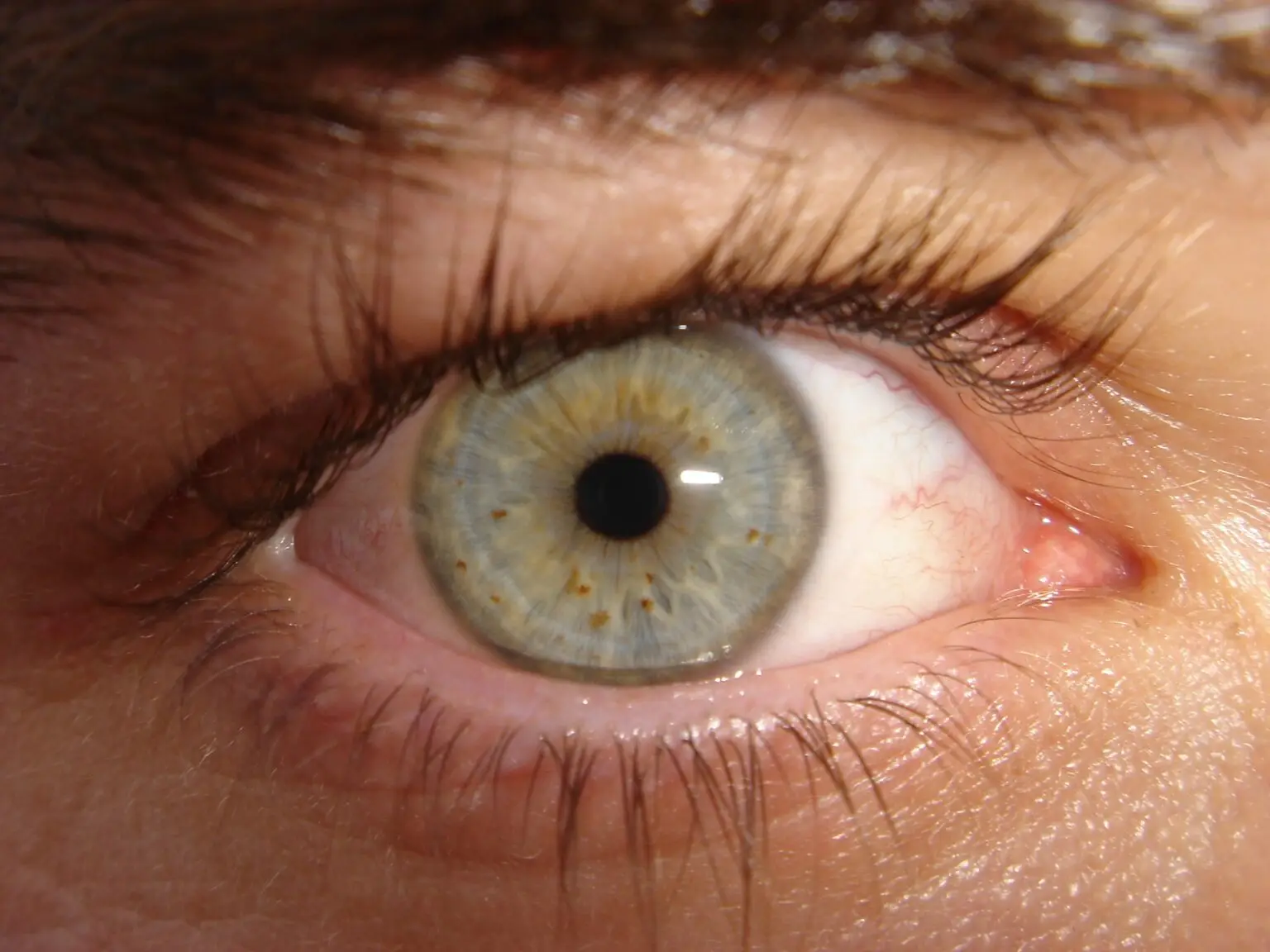 Adesso è possibile vedere un colore nuovo (Immagine Wikipedia)