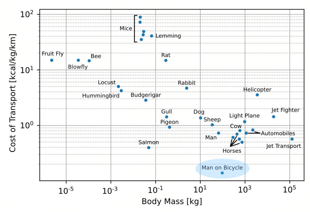 Uomini condor e biciclette. Ecco il grafico tratto dalla tabella con i dati originali raccolti da Vance A. Tucker della Duke University